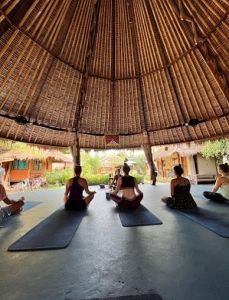 A Deep Dive into Bali Yoga Retreats Paradises
